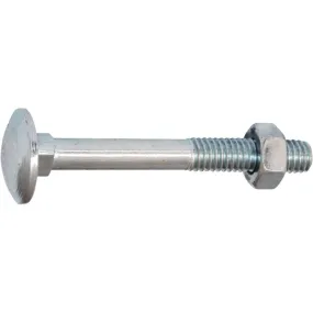 Slotbout - M12 x 30 mm - DIN603/555 - Verzinkt (100 stuks)